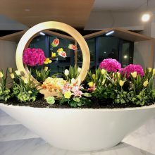 【广州绿植物租摆 花卉租赁 植物摆放 园林绿化施工养护图片】广州绿植物租摆 花卉租赁 植物摆放 园林绿化施工养护