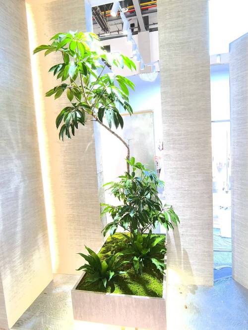 2026年杭州植物租赁服务商推荐 办公室、小区、园区室内绿植花卉租赁全指南