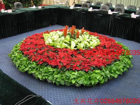 成都植物租摆与花卉租赁 打造绿色办公空间的明智之选